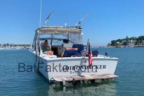 Bertram 26 tekniska specifikationer och recensioner